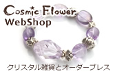 Cosmic Flower WebShop