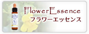 Flower Essence フラワーエッセンス