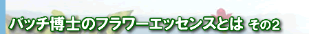 バッチ博士のフラワーエッセンスとは（２）