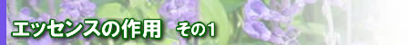 フラワーエッセンスの作用 （１）