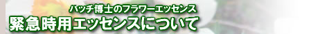 緊急時用エッセンスについて