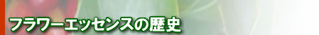 フラワーエッセンスの歴史について